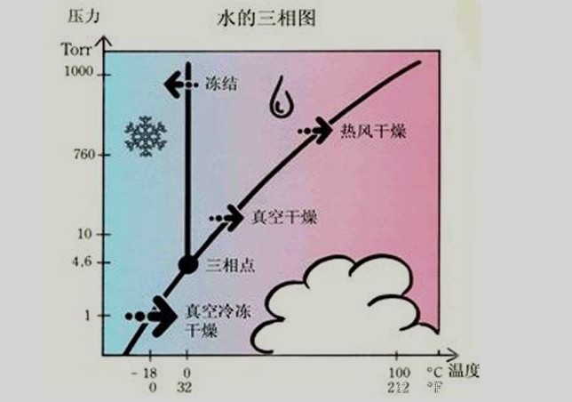 冷凍干燥機要多久才可以凍干一批物料？
